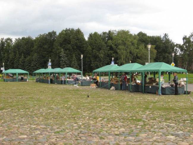 Шатер Митек 3х6 м без стенок (2 места)